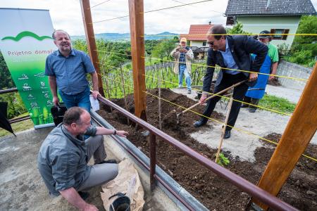 Na Debelem hribu zasadili potomko najstarejše trte na svetu 6